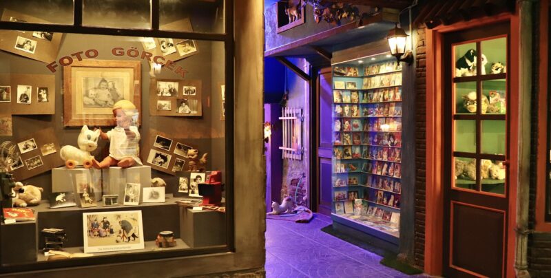 İstanbul’un İlk Hayvan Temalı Müzesi Açıldı(Özel Haber)