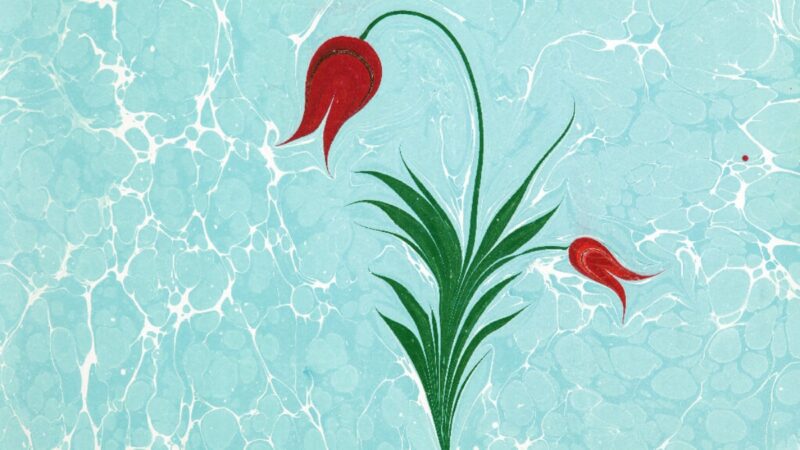 Ebru: Renklerin su üzerinde dansı!