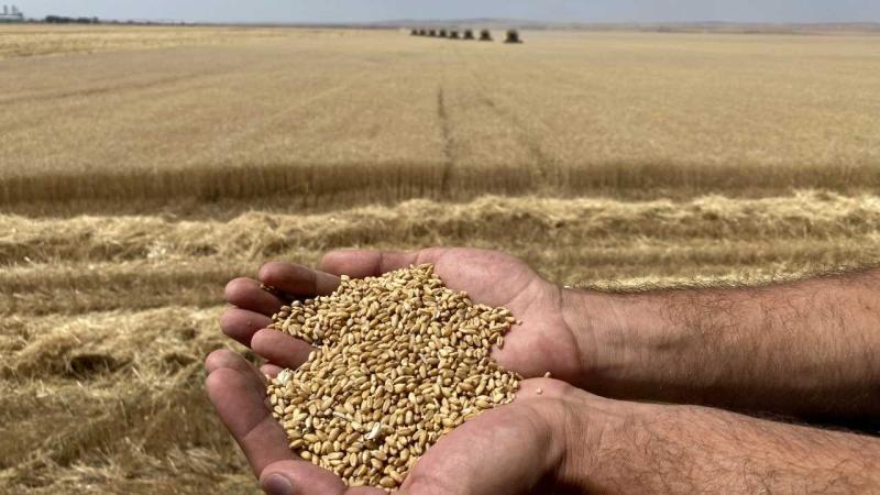 Erzincan’da çiftçilere buğday tohumunun dağıtımına başlandı