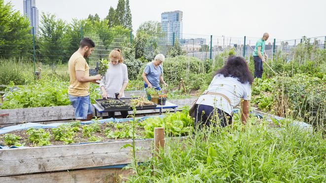 Kentleri yeşillendirmek küresel ısınmayla mücadelede ne kadar etkili olabilir?