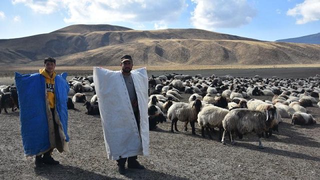 Nemrut’ta yaylalarda konaklayan göçerler dönüş için hazırlıklara başladı