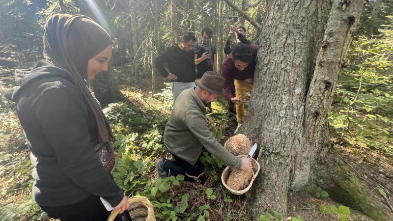 Bolu’daki yaylalar mantar meraklılarına ev sahipliği yapıyor