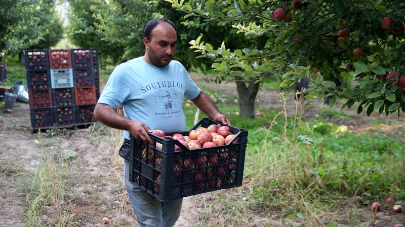 Yahyalıdan 18 ülkeye elma ihracatı