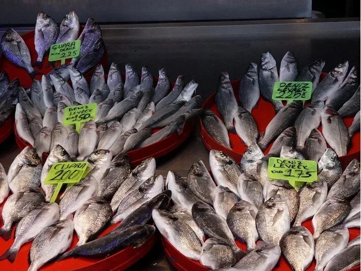 Kasım ayında hangi balıklar yenir? İşte kasım ayında en lezzetli balıklar