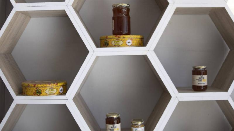 Tunceli’nin dağ ve köylerinde üretilen balın kalitesi yüksek çıktı