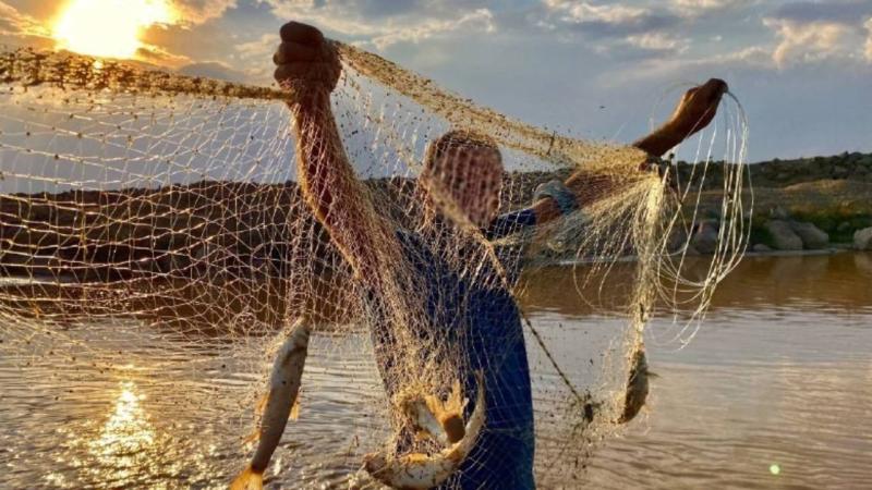 Erzincan’da alabalık avı yasaklandı