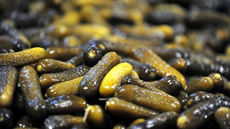 Turşu ihracatının büyük kısmı Ege’den gerçekleşti