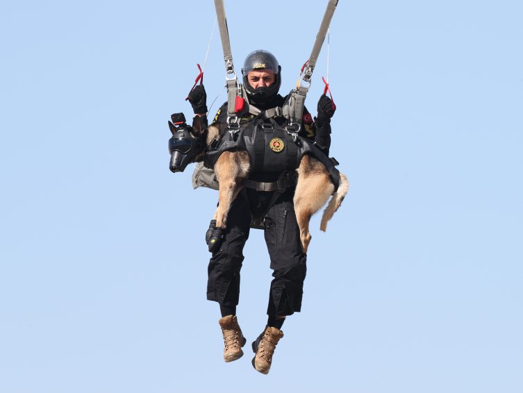 Jandarmanın arama kurtarma köpeği ‘Maça’ zorlu operasyon bölgelerine paraşütle inecek