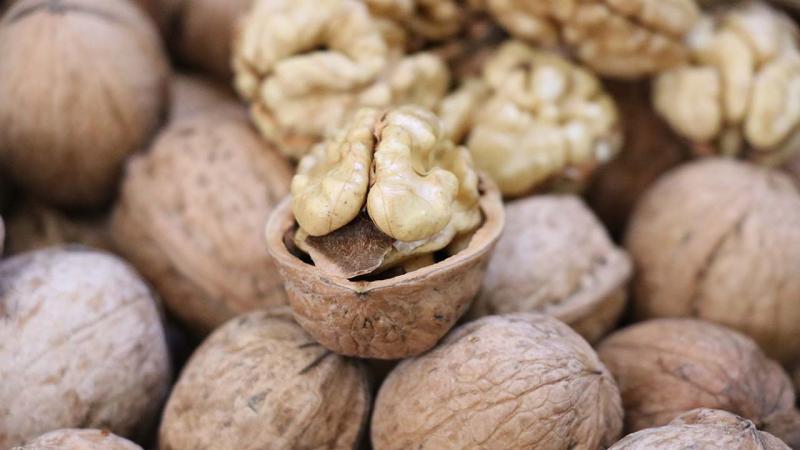 Bitlis’te “26. Adilcevaz Ceviz Festivali ve Kültür Etkinlikleri” düzenlendi