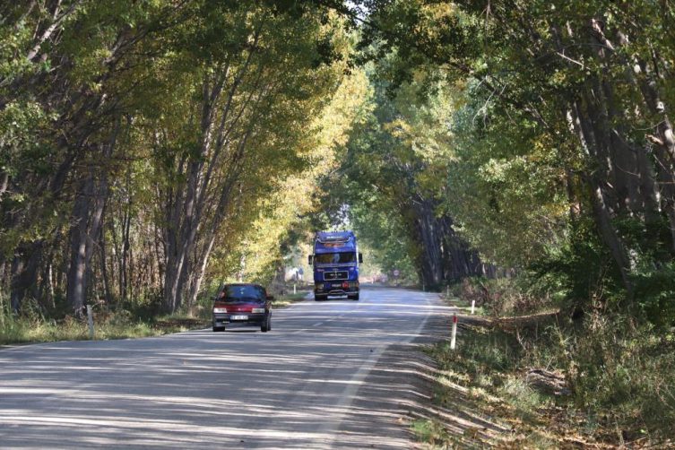 Sonbahar renklerine bürünen Tokat’ın ağaç tüneli hayran bırakıyor