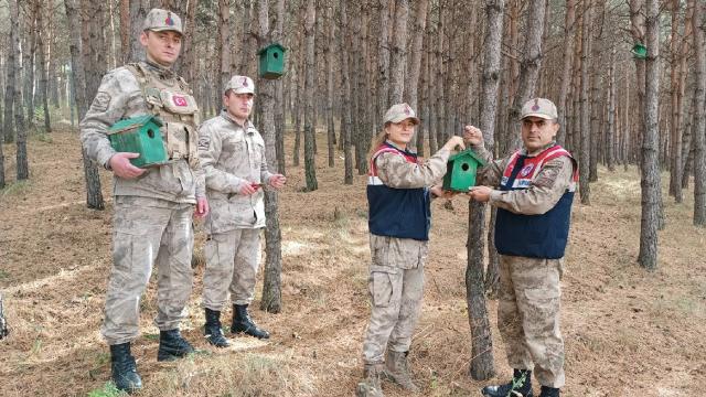 Ardahan’da ormana 20 adet kuş kafesi konuldu