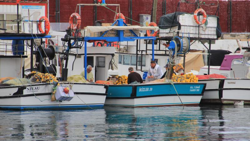 Tekirdağlı balıkçılara poyraz engeli