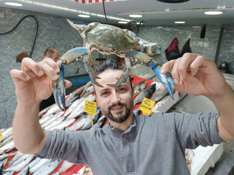 ‘mavi yengeç’ Karadeniz’de balıkçıların korkulu rüyası oldu