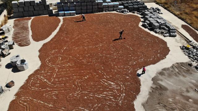 Giresun’da bu ilçede fındık yetiştirilmiyor ama kurutuluyor