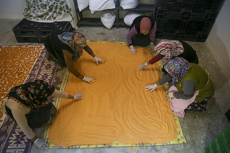 Uşaklı kadınların tarhana imecesi girişim hikayesine dönüştü