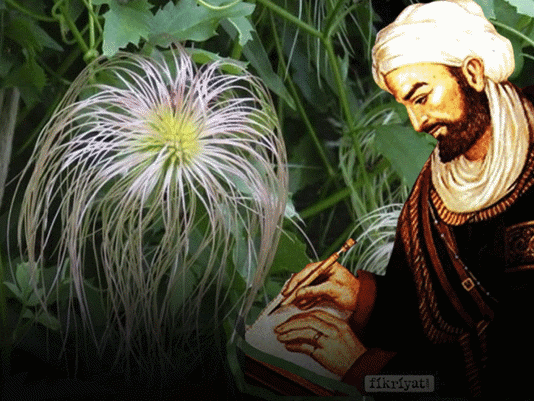 Bu sebze vücuda adeta reset atıyor, baştan aşağı temizliyor!