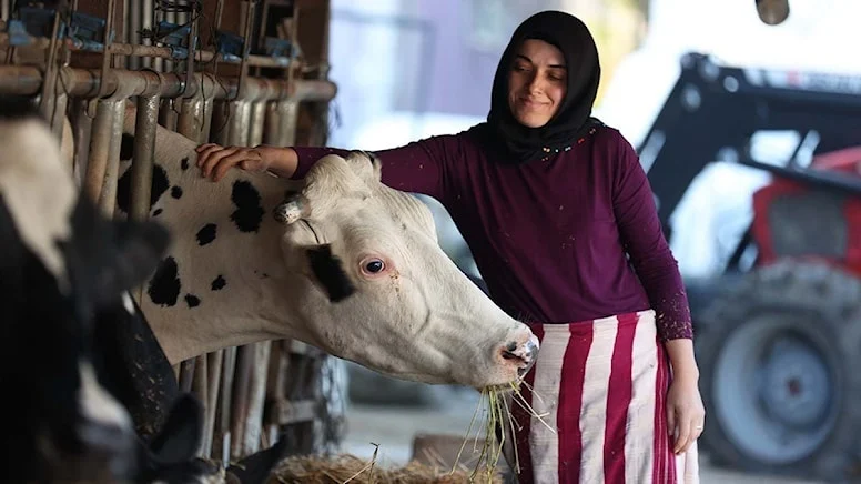 1 inekle başladı, 70 ineği oldu