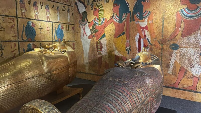 “Gizemli Firavun Tutankhamun’un Hazineleri” İstanbul Akvaryum’da açıldı