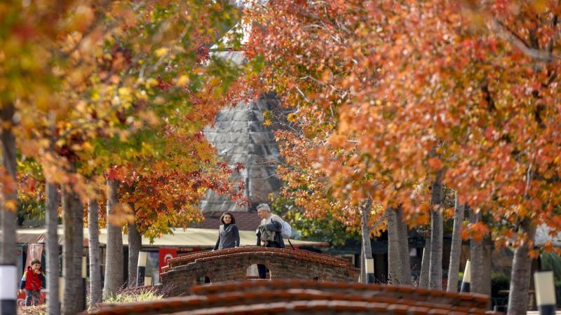 Yağışlı hava yurdu terk ediyor: Sıcaklıklar yükselecek
