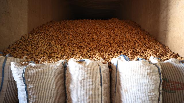 Kapadokya’daki yer altı depoları tüketicinin patates tedarik sorununu ortadan kaldırıyor