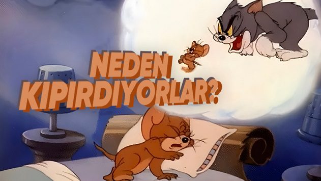 Hayvanlar da Rüya Görebilirler mi, Yoksa Bu Durum Sadece İnsanlara mı Özgü?