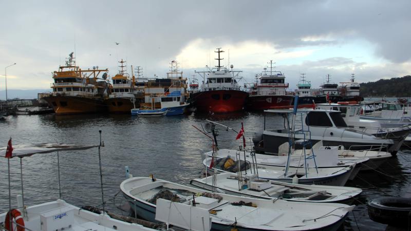 Sinop’ta yük gemileri limana sığındı