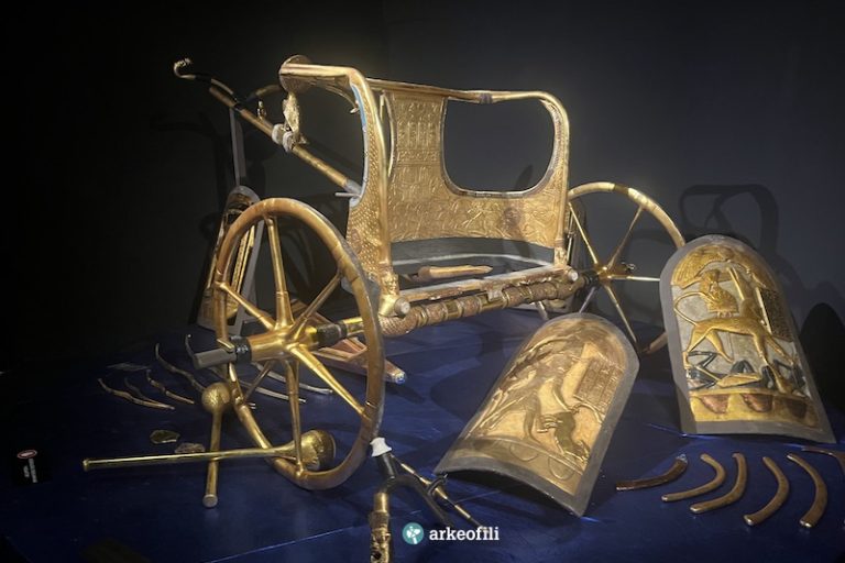 Tutankamon, Araba Kazasına Kurban Gitmiş Olabilir