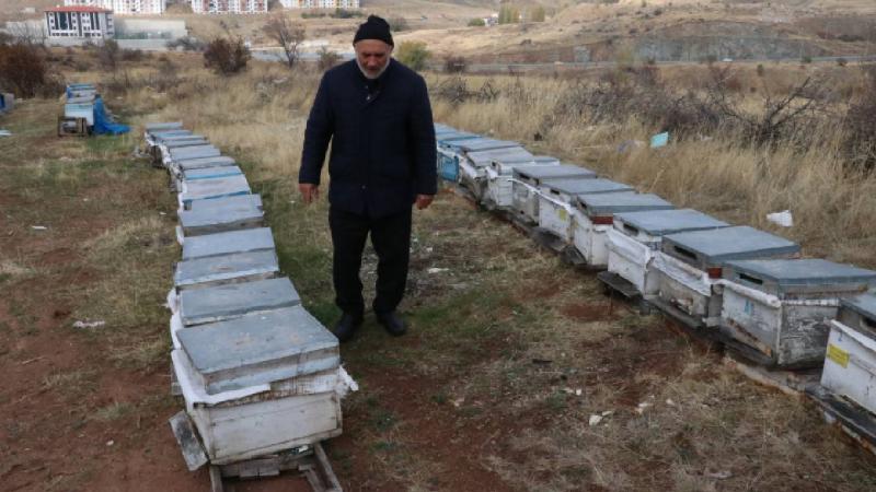 Yozgat’ta arıcılara “varroa” hastalığı uyarısı