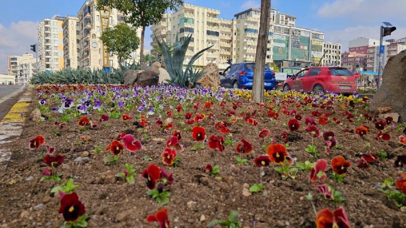 Mardin’de 110 bin çiçek kavşak ve refüjlere dikildi