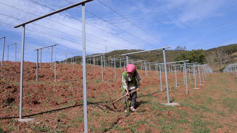 Devlet desteğiyle 19 yaşında tarıma başladı