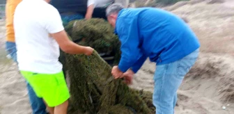 Mudanya’da Yasak Alanda Kum Şırlanı Avcıları Yakalandı