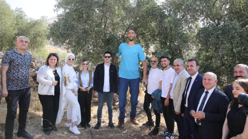 “Dünyanın en uzun adamı” Sultan Kösen, Derik zeytininin hasadına katıldı