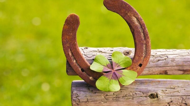 Şansın Arkasındaki Bilim: Şansımızı Kendimiz mi Yaratıyoruz, Yoksa Her Şey Birbirine mi Bağlı?