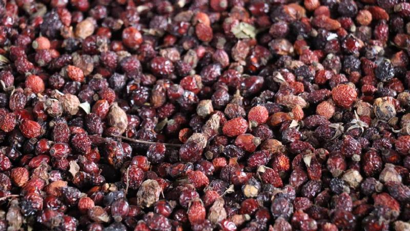 Gümüşhane’nin şifa dolu hazinesi Kuşburnu Nektarı coğrafi işaret aldı