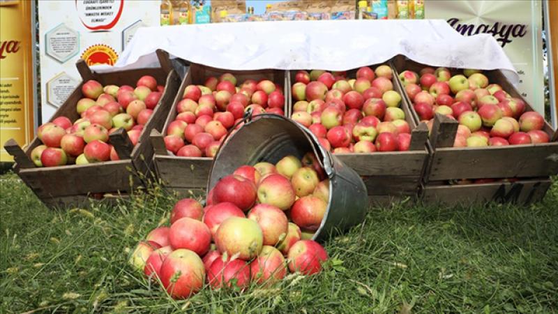 Niğde, misket elmanın üretim merkezi oldu
