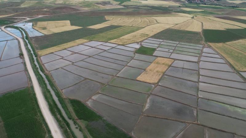 Tımarlı Sulaması Çankırı ve Çorum’a can suyu olacak