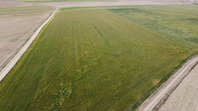 Konya’da sağanak çiftçinin yüzünü güldürdü