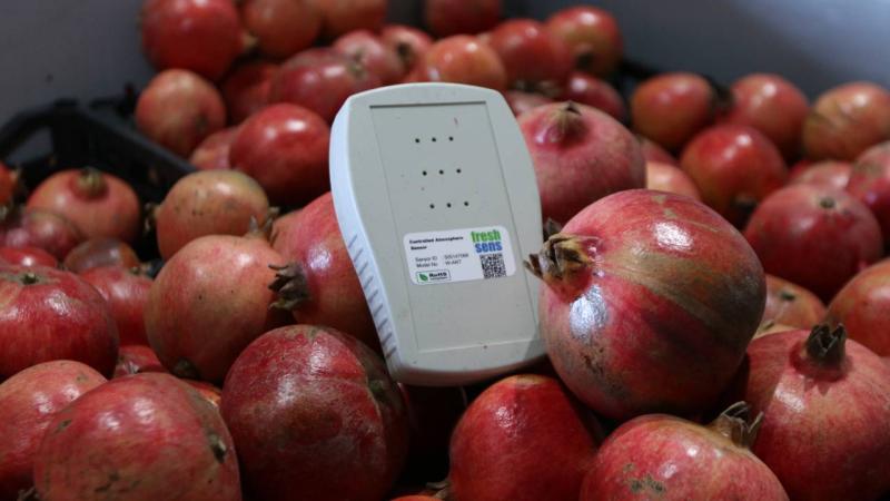 Yapay zeka ile meyve, sebze ve çiçeklerin raf ömrü uzuyor