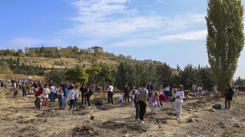 Sinop’ta 100 bin fidan toprak ile buluşacak
