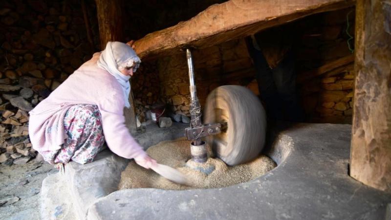 Hizan’da üretilen çeltik asırlık su değirmeninde öğütülüyor