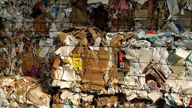 Karton ambalaj sektörü “Yeşil Dalga”yı radarına aldı