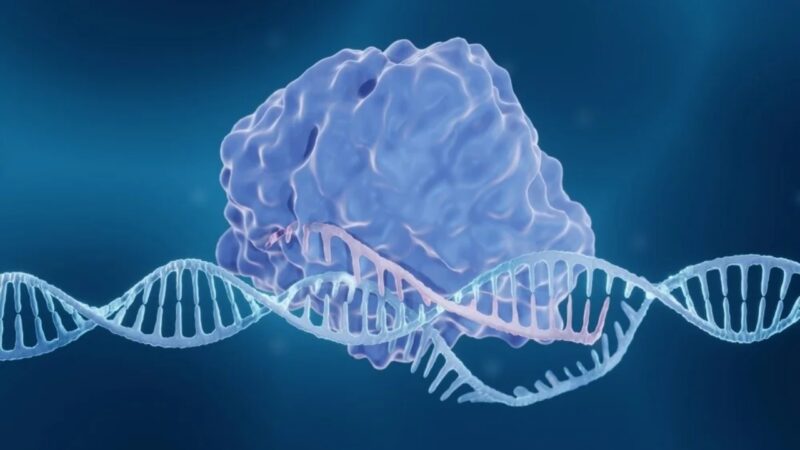 Tarihte İlk Defa CRISPR Tedavisi Onaylandı: Peki Bu Ne Anlama Geliyor?
