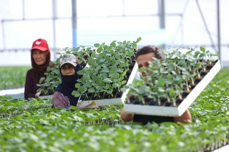 GES fide üretim tesisinde enerji giderini yüzde 60 azalttı