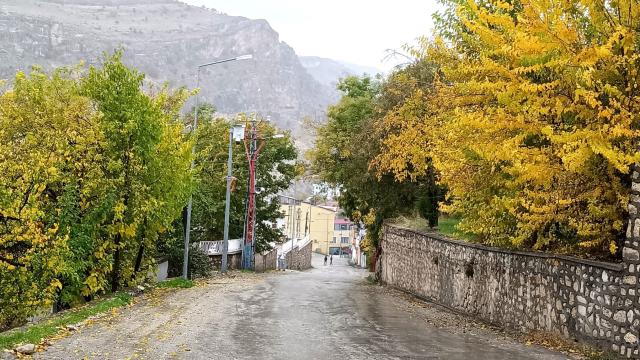 Tunceli’de iki mevsim aynı anda: Bir yanı kara kış diğer yanında çiçek açıyor