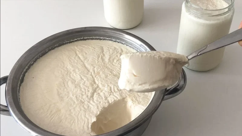 Taş gibi yoğurt mayalamanın sırrı ortaya çıktı.