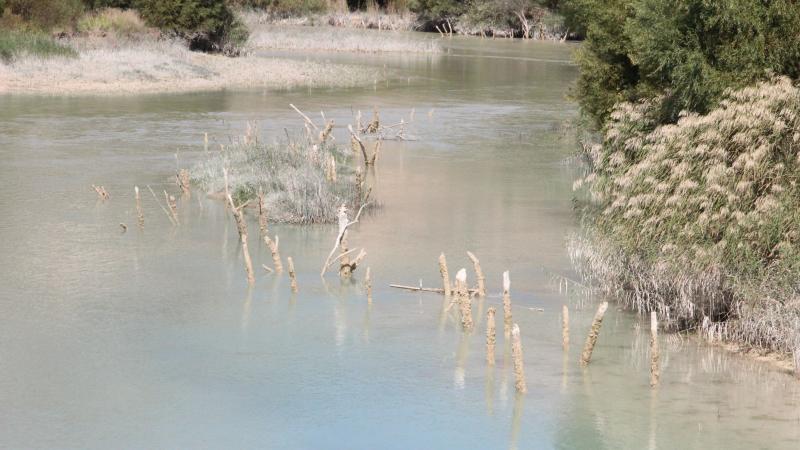 Göksu’dan yılda 1 milyar metreküp su denize akıyor