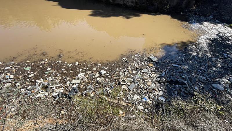 Bodrum’da deniz kahverengiye büründü