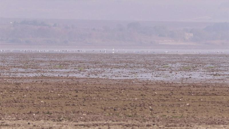 Büyükçekmece Gölü’nden su alımına ara verildi