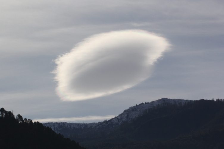 Artvin’de mercek bulutu ilgi çekti