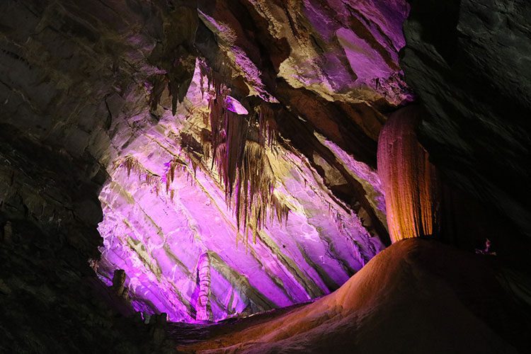 Yeni yangıç türü bulunan Gökgöl Mağarası, bilim dünyasına yeni keşiflerin kapılarını aralıyor